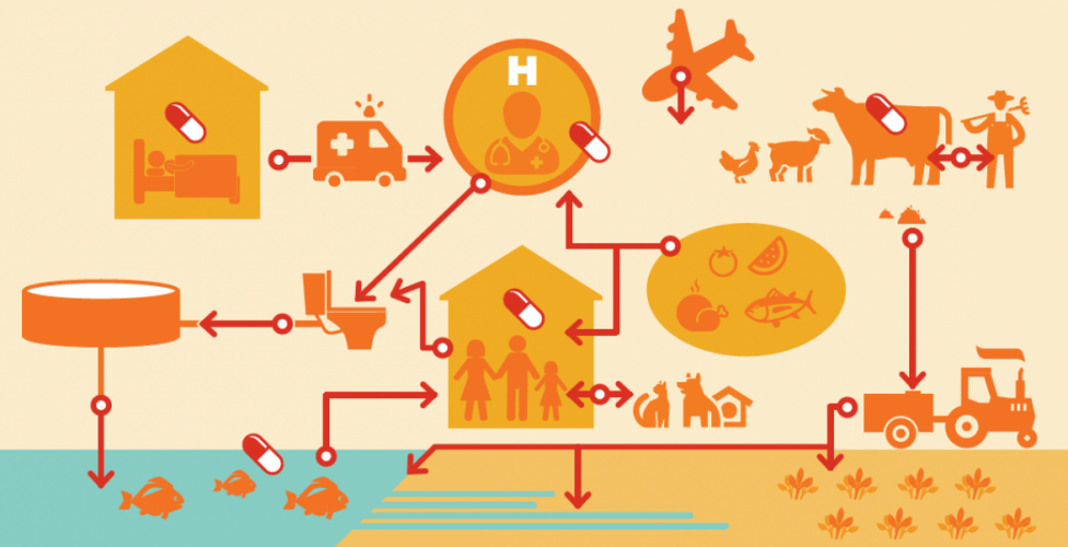 Dissemination of antimicrobial resistance within the environment